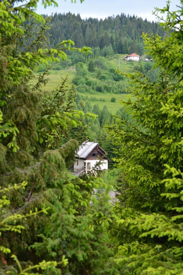 Vila Mira Zlatar Villa Nova Varos Exterior photo